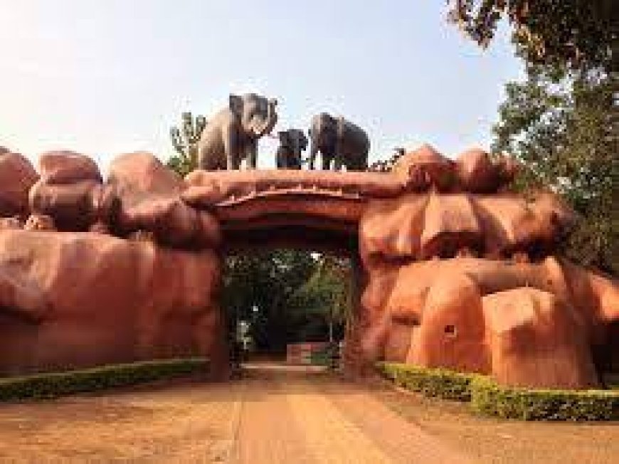 ଚନ୍ଦକା ଅଭୟାରଣ୍ୟରେ ଶୁଭାରମ୍ଭ ହେଲା ନାଇଟ ସଫାରୀ