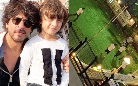 ସୋସିଆଲ ମିଡିଆରେ ଭାଇରାଲ ହେଉଛି ମନ୍ନତ ଭିତରର ଦୃଶ୍ୟ