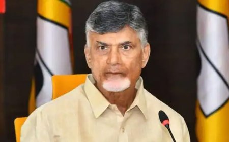 ଏନ୍‌ଡିଏକୁ ଫେରିଲେ ଚନ୍ଦ୍ରବାବୁ ନାଇଡୁ