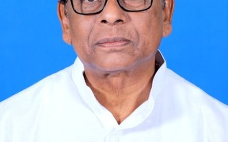 ବିଜେଡି ରାଜି ହୋଇଛି: ନୃସିଂହଚରଣ ସାହୁ