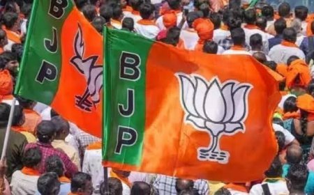 ଡିଏମକେକୁ ନୂଆ ନାମ ଦେଲା ଭାଜପା