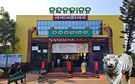 ନନ୍ଦନକାନନରେ ନାଇଟ୍‌ ଆଉଟ୍‌ ଆଟ୍ ଜୁ