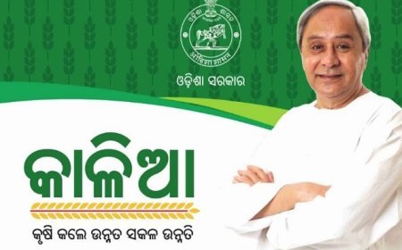 ୪୬ ଲକ୍ଷ ଚାଷୀଙ୍କୁ କାଳିଆ ସହାୟତା ପ୍ରଦାନ କଲେ ମୁଖ୍ୟମନ୍ତ୍ରୀ