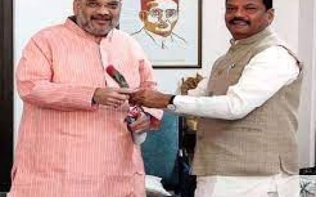 ଅମିତ ଶାହାଙ୍କୁ ଭେଟିଲେ ରାଜ୍ୟପାଳ