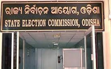 ନିର୍ବାଚନ ବିଷୟରେ ମୁଖ୍ୟ ନିର୍ବାଚନ ଅଧିକାରୀଙ୍କ ସମୀକ୍ଷା ବୈଠକ