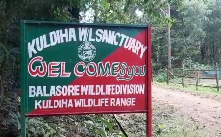 କାଲିଠୁ କୁଳଡିହାରେ କମ୍ବିଂ ଅପରେସନ