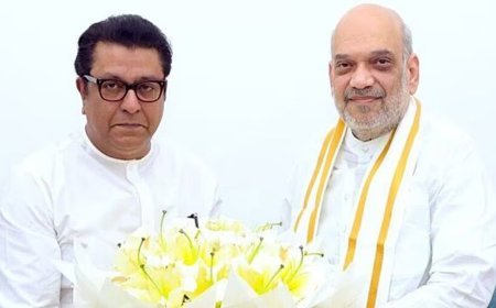 କେନ୍ଦ୍ର ଗୃହମନ୍ତ୍ରୀ ଅମିତ ଶାହଙ୍କୁ ଭେଟିଲେ ରାଜ ଠାକରେ