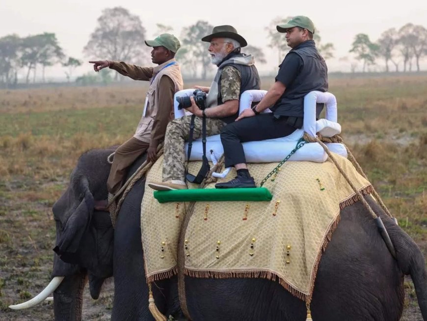 ହାତୀ ପିଠିରେ ବସି କାଜିରଙ୍ଗା ପାର୍କ ବୁଲିଲେ ପ୍ରଧାନମନ୍ତ୍ରୀ