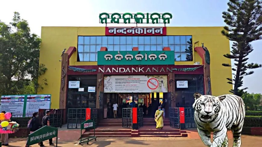 ଏଣିକି ରାତିରେ ବି ପର୍ୟ୍ୟଟକ ବୁଲିପାରିବେ ନନ୍ଦନକାନନ