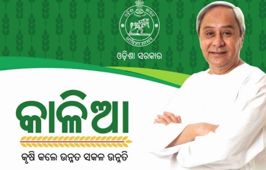 ୪୬ ଲକ୍ଷ ଚାଷୀଙ୍କୁ କାଳିଆ ସହାୟତା ପ୍ରଦାନ କଲେ ମୁଖ୍ୟମନ୍ତ୍ରୀ