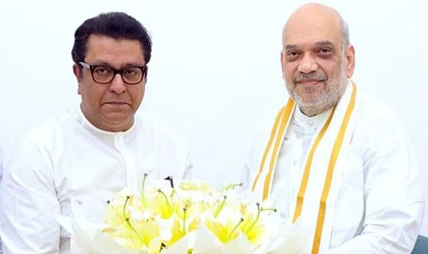 କେନ୍ଦ୍ର ଗୃହମନ୍ତ୍ରୀ ଅମିତ ଶାହଙ୍କୁ ଭେଟିଲେ ରାଜ ଠାକରେ