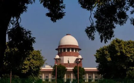 ସୁପ୍ରିମକୋର୍ଟଙ୍କ ବଡ଼ ଶୁଣାଣି . "ଗଛ କାଟିବା, ମଣିଷକୁ ହତ୍ୟା କରିବାଠାରୁ ବି ବଡ଼ ଅପରାଧ"