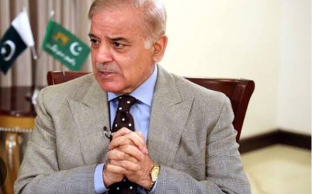 ଉତ୍ତର ପ୍ରଦେଶରେ ଅଛନ୍ତି କେତେ ପାକିସ୍ତାନୀ ? ସ୍ବଦେଶ ଫେରାଇବା ପ୍ରକ୍ରିୟା ଆରମ୍ଭ .