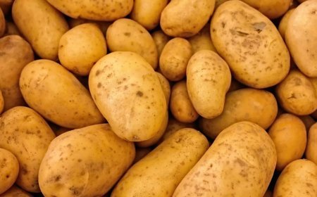 ବନ୍ୟା ଟଳିଲା ଦର ବଢିଲା, ପରିବା ବଜାରରେ ମହଙ୍ଗା ମାଡ଼ .