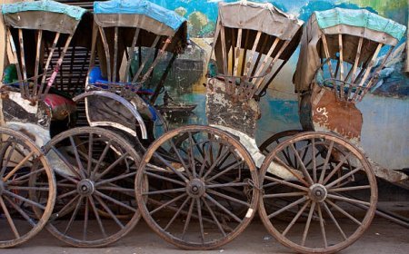 ସଭ୍ୟ ସମାଜରେ ରିକ୍ସା ଟାଣିବା ଅମାନବୀୟ ଓ ଅଶୋଭନୀୟ |