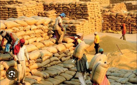 ଛୁଟି ଦିନରେ ବି ଚାଷୀ ପଞ୍ଜିକରଣ କାର୍ଯ୍ୟ ଚାଲୁ ରହିବ