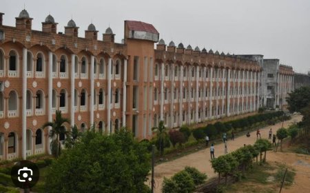 Engineering କଲେଜଗୁଡିକ କୋର୍ସ cetificate ପାଇଁ ଆଉ କରି ପାରିବେ ନାହିଁ ଅବହେଳା କିମ୍ବା ଅଧିକ Fees ଦାଵୀ