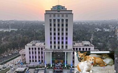 ଭୁବନେଶ୍ୱର BMC ତରଫରୁ ଖୁବ ଶୀଘ୍ର କୁକୁର ଗଣନା କାର୍ଯ୍ୟକ୍ରମ ଆରମ୍ଭ ହେବ | BMC କମିଶନର