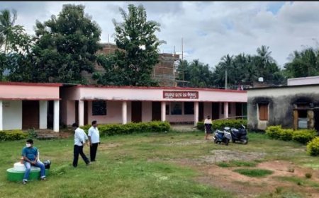 ଭାରତ ତମାମ ସରକାରୀ ସ୍କୁଲର ହାଲତ / ଅବସ୍ଥା ( ଏହି ଗଲା ୫ ବର୍ଷରେ )