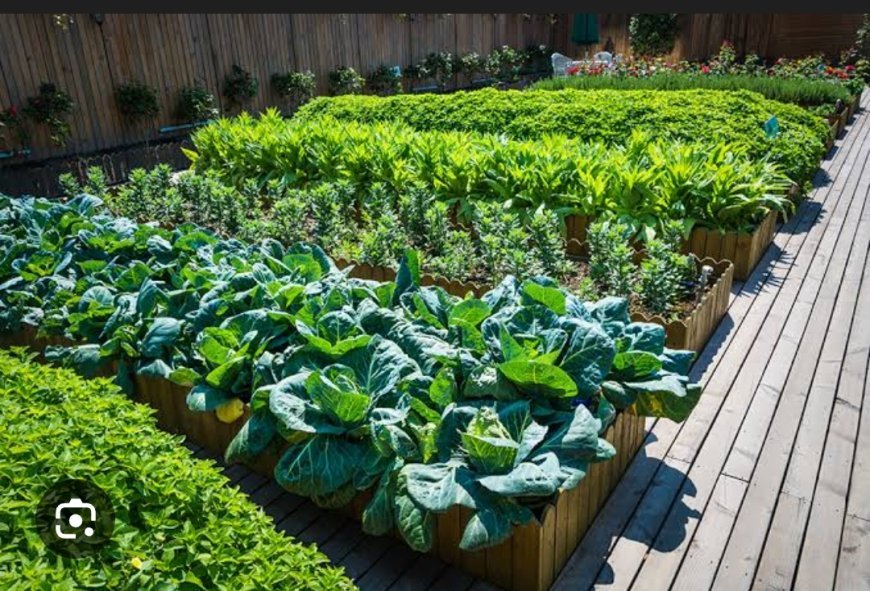 ଆଗାମୀ ଯୁବପିଢ଼ି ସ୍ବଦେଶୀ ବିହନର ସରଂକ୍ଷଣ ଓ ପ୍ରଚାର ଦିଗରେ କାର୍ଯ୍ୟ କଲେ ସ୍ଥାୟୀ କୃଷି ସମ୍ଭବ ହୋଇ ପାରିବ