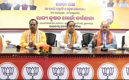 ମୋଦିଜୀଙ୍କ ୭୫ ବର୍ଷ ଜନ୍ମ ଦିବସ ରେ ଲାଗିବ ୭୫ ଲକ୍ଷ ଚାରା - ଏକ ସବୁଜ ପରିବେଶ ଗଠନ ଲକ୍ଷ୍ୟରେ