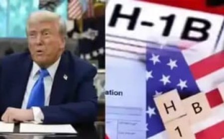 କେଵଳ ଅଧିକ ଶୀର୍ଷ ଶ୍ରେଣୀର ବ୍ୟକ୍ତିମାନେହିଁ ଏଚ୍‍-୧ବି ଭିସା କରି ପାରିବେ..