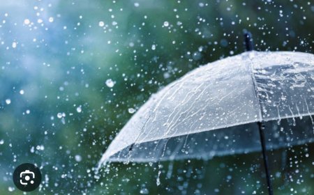 ଓଡିଶାକୁ ଭିଜାଇବ ଲଘୁଚାପ, କ୍ଷତିଗ୍ରସ୍ତ ହେବେ ବ୍ୟବସାୟୀ ; ଫିକା ପଡ଼ିଯିବ ପାର୍ବଣ ଉତ୍ସବ...