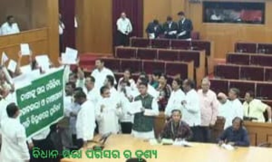 ବିଧାନ ସଭା ହାଲଚାଲ !