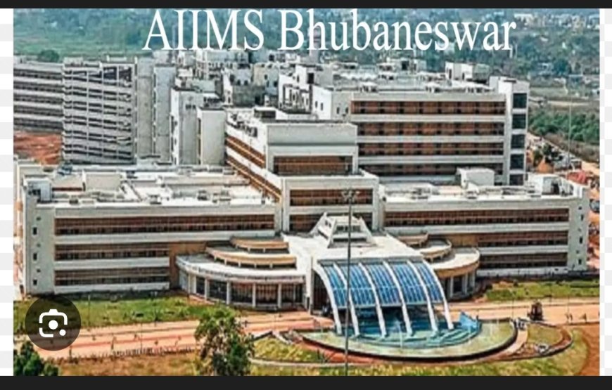 ଆୟୁଷ ବିଭାଗ ପକ୍ଷରୁ ୧୦ମ ଆୟୁର୍ବେଦ ଦିବସ ଉତ୍ସାହର ସହିତ ଏକ ସ୍ବତନ୍ତ୍ର କାର୍ଯ୍ୟକ୍ରମ ମାଧ୍ୟମରେ ପାଳିତ ହୋଇଯାଇଛି