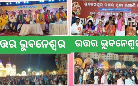 ଉତ୍ତର ଭୁବନେଶ୍ୱରେ ଭସାଣି ଉତ୍ସବ ଏକ ବିଶୃଙ୍ଖଳିତ ପରିବେଶରେ ପାଳିତ ହେଉଛି |