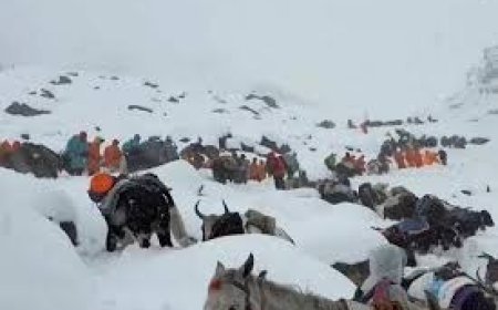ମାଉଣ୍ଟ ଏଭରେଷ୍ଟରେ ପ୍ରବଳ ତୁଷାରପାତ, ଫସିଗଲେ ୧୦୦୦ରୁ ଅଧିକ  ପର୍ବତାରୋହୀ...