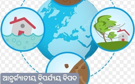 IDDRR - ଆନ୍ତର୍ଜାତୀୟ ବିପର୍ଯ୍ୟୟ ବିପଦ ହ୍ରାସ ଦିବସ ର ପୃଷ୍ଠଭୂମ...