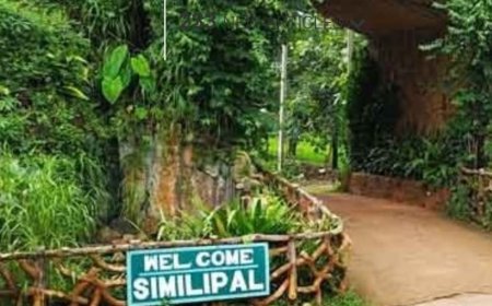 ଶିମିଳିପାଳ ଜାତୀୟ ଉଦ୍ୟାନ ଖୋଲିଲା...