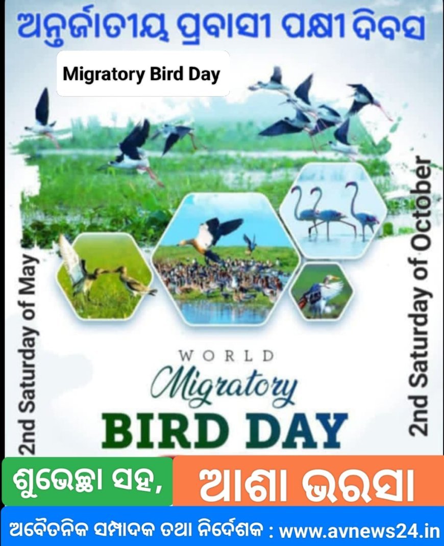 ଅନ୍ତର୍ଜାତୀୟ ପ୍ରବାସୀ ପକ୍ଷୀ ଦିବସରେ ଅନେକ ଅନେକ ଶୁଭେଚ୍ଛା ଓ ଶୁଭ କାମନା