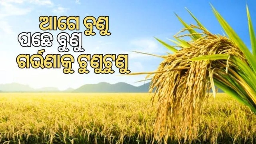 ଗର୍ଭଣା ସଂକ୍ରାନ୍ତି (Garvana Sankranti) ର ପ୍ରଚ୍ଛଦପଟ ର କାହାଣୀ...