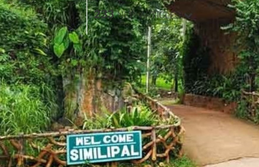 ଶିମିଳିପାଳ ଜାତୀୟ ଉଦ୍ୟାନ ଖୋଲିଲା...