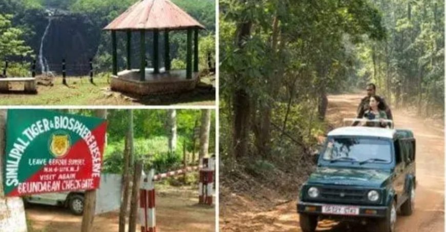 ପର୍ଯ୍ୟଟକ ଙ୍କ ପାଇଁ ମୁକ୍ତି ହେଲା ଶିମିଳିପାଳ କଟକଣା...