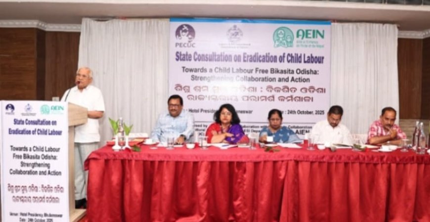 "ଶିଶୁ ଶ୍ରମିକ ନିରାକରଣ" ଦିଗରେ ଆଲୋଚନା ଚକ୍ର...