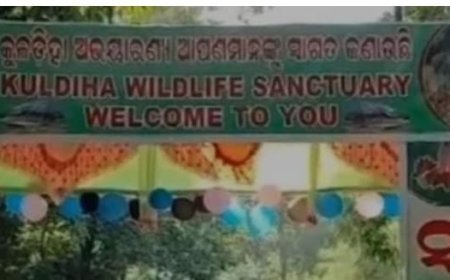 କୁଲଡିହା ବନ୍ୟପ୍ରାଣୀ ଅଭାୟରଣ୍ୟ ପର୍ଯ୍ୟଟକଙ୍କ ପାଇଁ ପ୍ରବେଶ ମୁକ୍ତ ହେଲା...