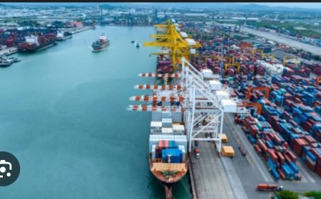 ପାରାଦ୍ବୀପ ରେ ମାଛ ଧରା ପାଇଁ ଲାଗିଲା ରୋକ...