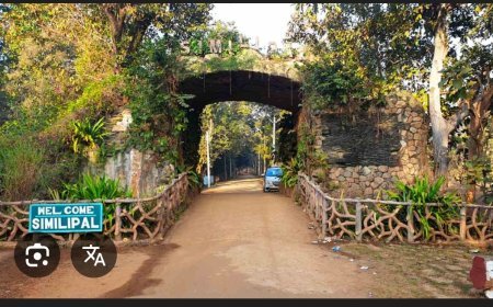 ଅଭୟାରଣ୍ୟରେ ପ୍ରଶାସନ କରିବେ ଜନ ଶୁଣାଣି...