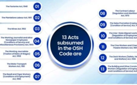 ବୃତ୍ତଗତ ସୁରକ୍ଷା, ସ୍ବାସ୍ଥ୍ୟ ଓ କାର୍ଯ୍ୟ ପରିସ୍ଥିତି (ଓଏସଏଚ୍) କୋଡ୍, ୨୦୨୦  ପରିଚୟ