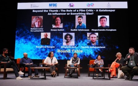 IFFI 56 ତମ ଚଳଚିତ୍ର ମହୋତ୍ସବରେ ସମାଲୋଚକ ବିତର୍କ ସମୀକ୍ଷା