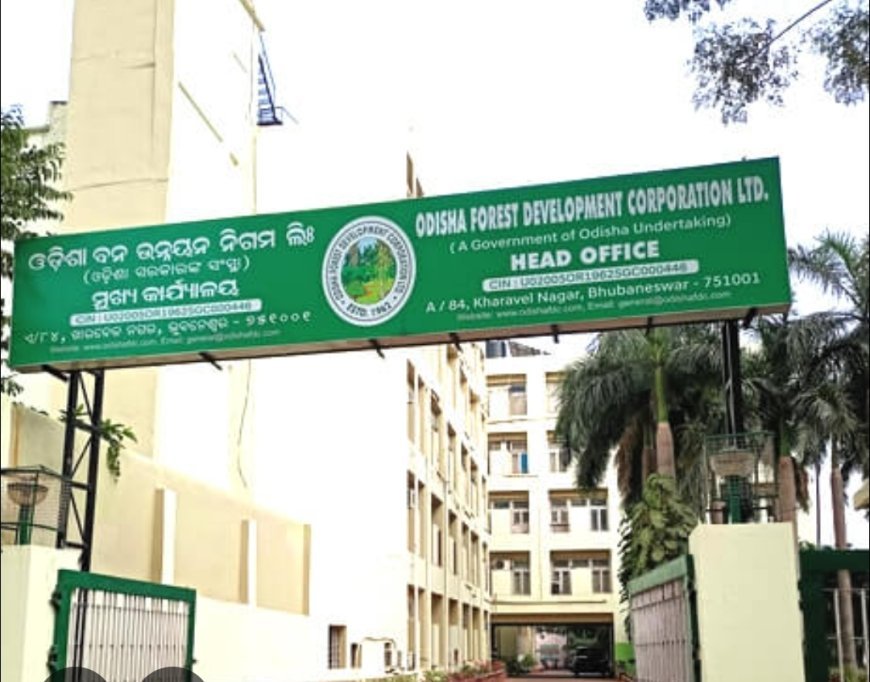 ଲାଲ ଚନ୍ଦନର ସଂରକ୍ଷଣ ଏବଂ ସୁରକ୍ଷା ପାଇଁ ଓଡ଼ିଶା ବନ ବିଭାଗକୁ 29.40 ଲକ୍ଷ ଟଙ୍କା ପ୍ରଦାନ କଲା ଏନବିଏ