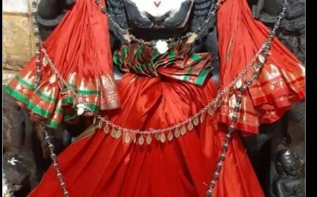 ପଣ୍ଡୁ ପୂର୍ଣ୍ଣମୀରେ ଶ୍ରୀ ବଳଦେବଜୀଉଙ୍କ ଧେନୁକାସୁର ବଧ ବେଶ...