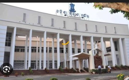 ଖୁବ ଶୀଘ୍ର ବଢିବ ବିଧାନସଭା ସଦସ୍ୟ ଙ୍କ ଦରମା...