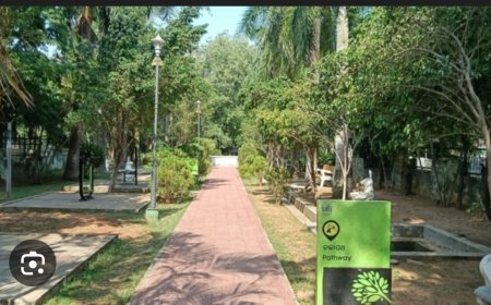 BDA ରେ ଥ‌ବା park ଶନି ଓ ରବିରେ ରହିବ ଖୋଲା...