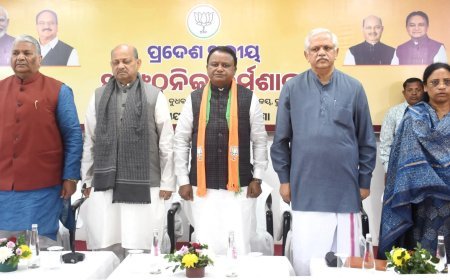 ବିଜେପି ର ସାଙ୍ଗଠନିକ କର୍ମଶାଳା