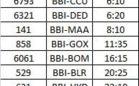 ୮ ଇଣ୍ଡିଗୋ ବିମାନ ବାତିଲ..