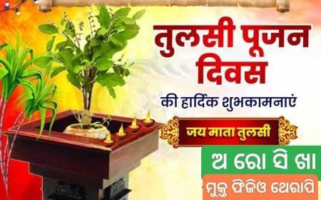 ହିନ୍ଦୁ ଧର୍ମରେ ତୁଳସୀ ଗଛର ବିଶେଷ ମହତ୍ତ୍ୱ...